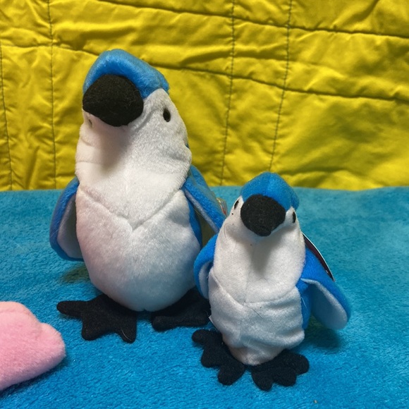 A bird and their buddy! - Picture 3 of 6